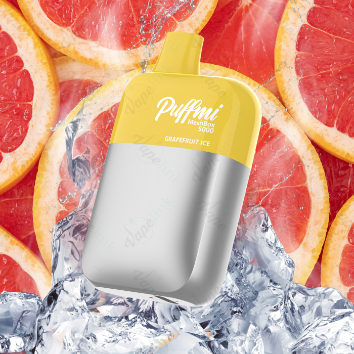 Puffmi MeshBox 5000 Rechargeable Disposable Vape