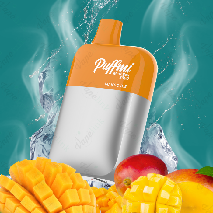 Puffmi MeshBox 5000 Rechargeable Disposable Vape